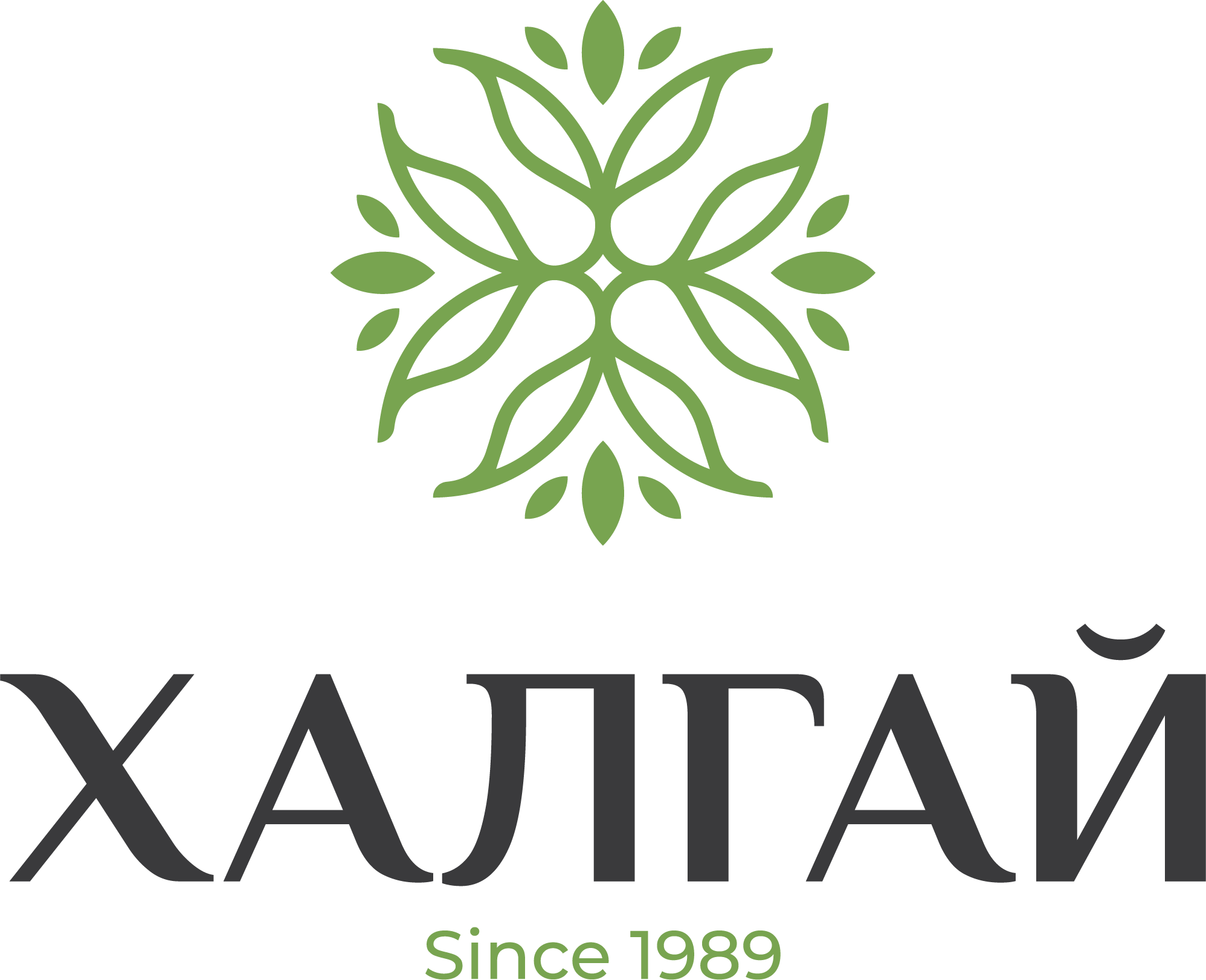 Salon Khalgai Logo